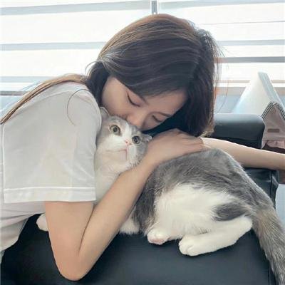 贪婪2019
